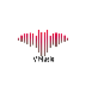 V Music icon