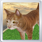 Virtual Pet 3D -  Cat icon