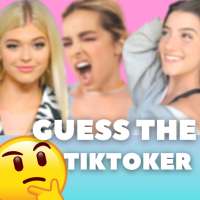 Guess the Tiktoker