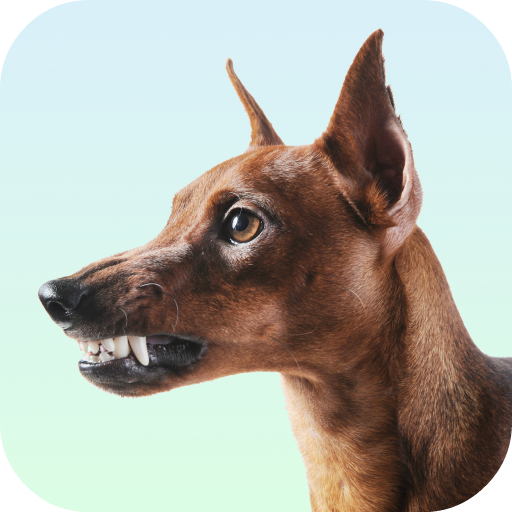 Dog Growling Sounds icon