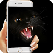 Golden Eyes Black Cat icon