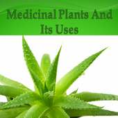 Medicinal Plants and its uses on 9Apps