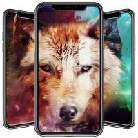 Wolf Wallpaper on 9Apps