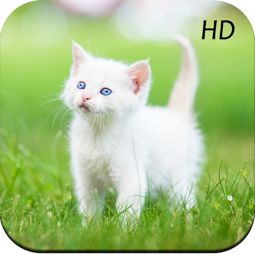 Cat Wallpapers icon