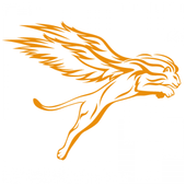 The Privileged Card icon