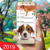 Dog on Screen Funny Joke Prank icon