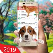 Dog on Screen Funny Joke Prank