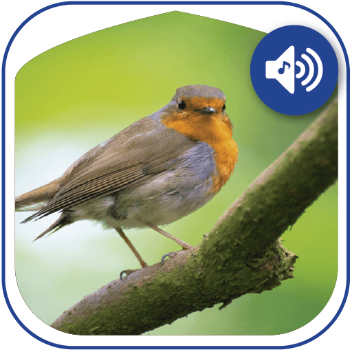 Birds sounds, ringtones birds icon