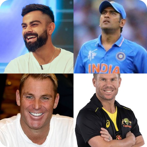 World Cricket Championship icon