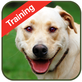 Dog Training icon