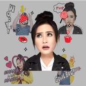 Best Sissy Sticker Pack for WhatsApp Collections