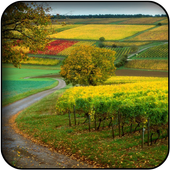 Seasons Wallpapers icon