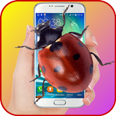 Lady Bird on Screen Hissing Joke icon