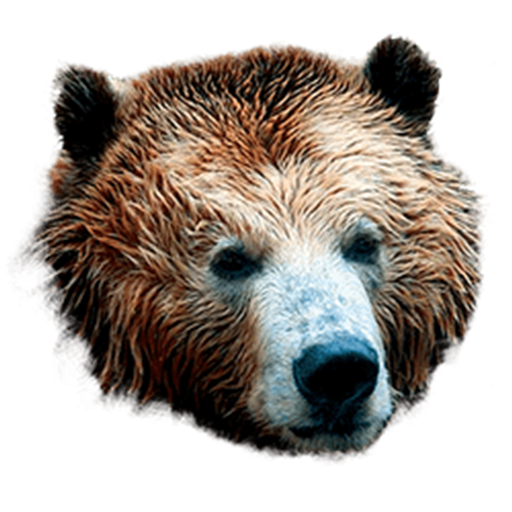 ID Scanner - Age Verification icon