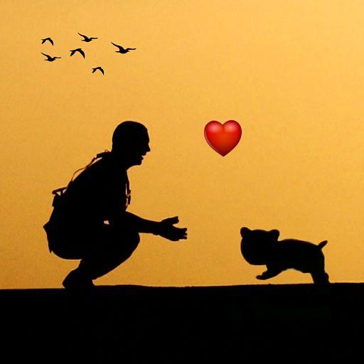 Dog and owner : Breed info , Diet , fact icon