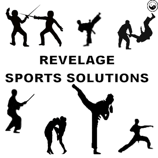 R.S.S. Pro Mobile icon