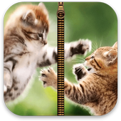 Écran Cat Zipper verrouillage icon