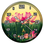 Pink Flower Clock Live WP icon