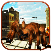 العنكبوت مدينة سترايك أيقونة