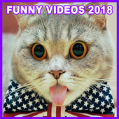 Funny Videos 2018 icon