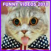 Funny Videos 2018