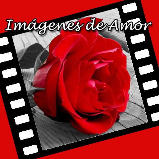 Imagenes de Amor con Frases de Amor para Whatsapp icon