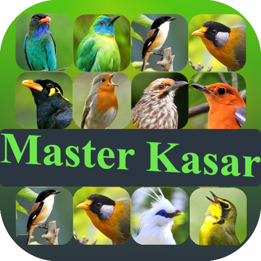 Master Suara Burung Kasar icon