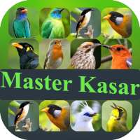 Master Suara Burung Kasar on 9Apps