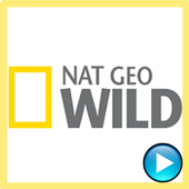 Nat Geo Wild icon