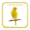 Canto De Canario Timbrado icon