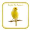 Canto De Canario Timbrado on 9Apps