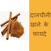 Dalchini Khane ke 112 Fayde In Hindi icon