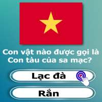 Quiz Hello: Trò chơi đố vui