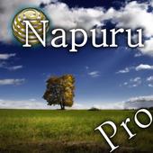 Memory Boost Brain Massage icon