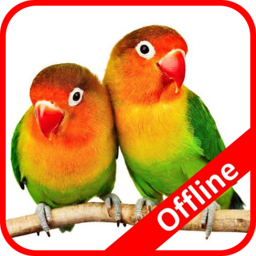 Masteran Lovebird Lengkap Offline icon