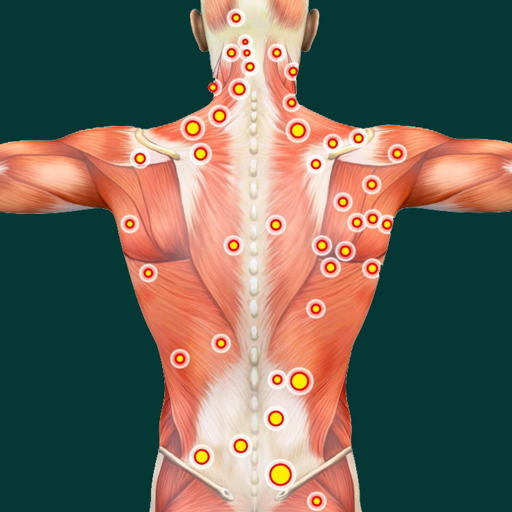 Acupressure Point Guide icon