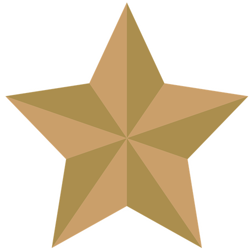 Let's make you a star on social media icon
