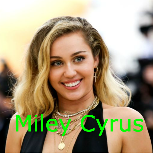 Miley Cyrus Songs Offline Music (all songs) icon