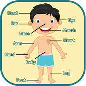 Learning Human Body Parts icon