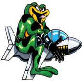Combat Toads 1 Nes icon