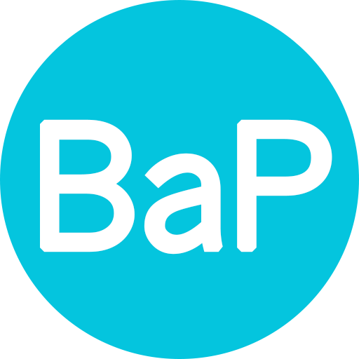 BaP Connects icon