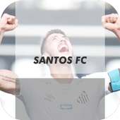 Papel de Parede do Time do Santos