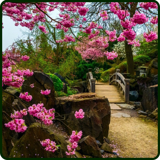 Nature Wallpapers icon