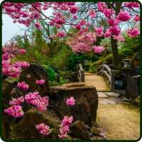 Nature Wallpapers on 9Apps