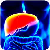 Have you got hepatitis? on 9Apps