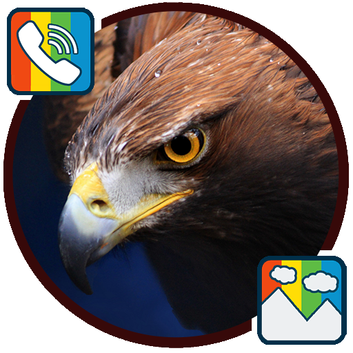 Eagle - RINGTONES and WALLPAPERS icon
