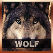 Wolf Sound Tone icon