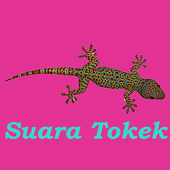 Gecko Sound icon