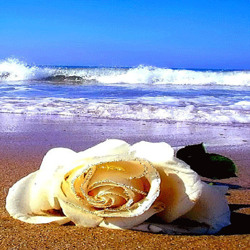 Ocean Flower Live Wallpaper icon