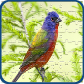 Bird Jigsaw Puzzle icon
